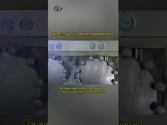 Siemens Cassava Stärke Verarbeitung Maschinen Hydro Cyclone SS304 Material