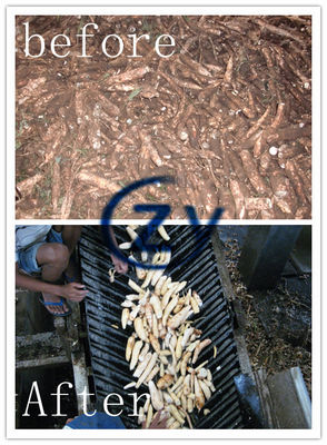 Maschine zur Verarbeitung von Cassava-Stärke für die kontinuierliche Produktion