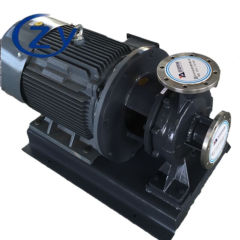 Nahrungsmittelsichere, langlebige Cassava-Zentrifugalpumpe für die starke Stärkeverarbeitung mit geringer Wartung